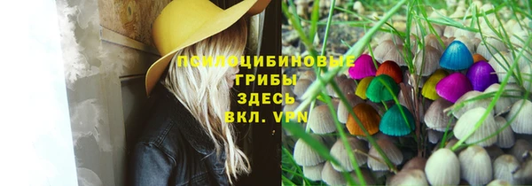 сатива Аркадак