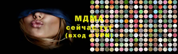 гидра Арсеньев