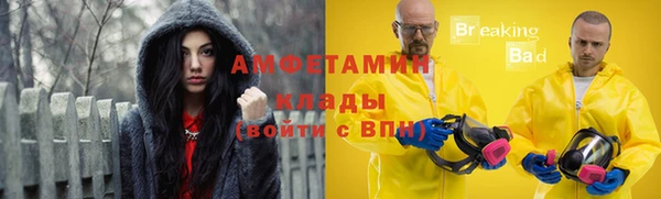 сатива Аркадак