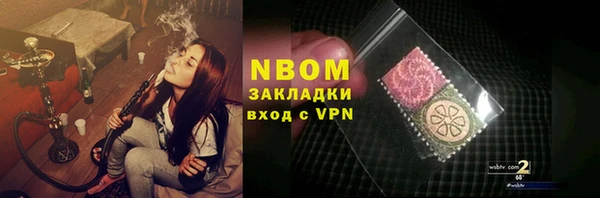 сатива Аркадак