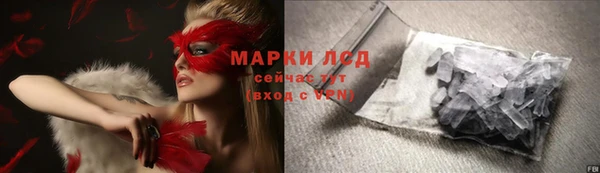 гидра Арсеньев