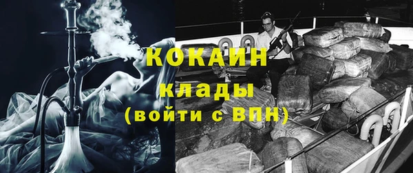 гидра Арсеньев