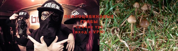 гидра Арсеньев