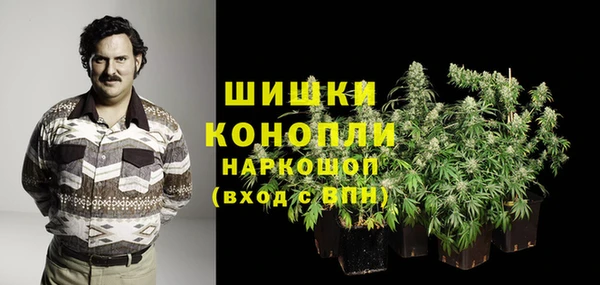 гидра Арсеньев