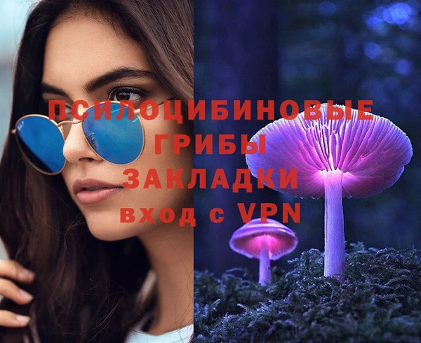 сатива Аркадак