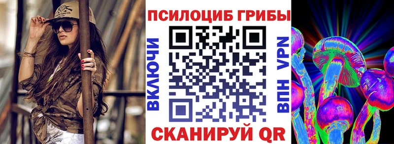 Купить закладки  Котовск  Галлюциногенные грибы Psilocybe 